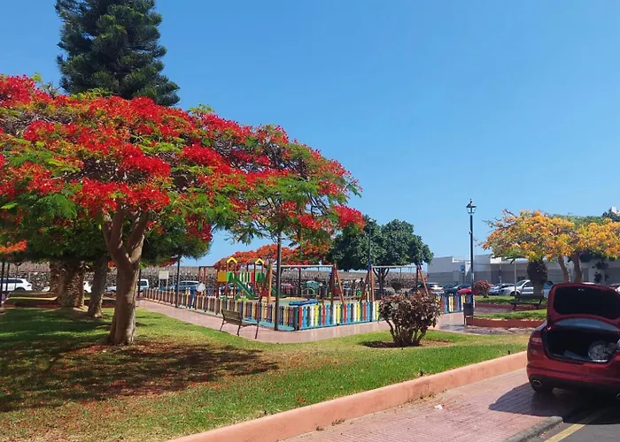Apartamento ático Dio Vista Tipo Con Terraza Soleada