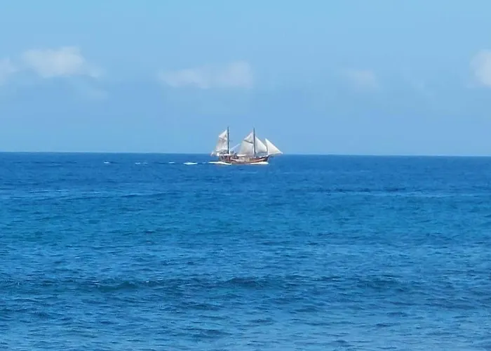 ático Dio Vista Tipo Con Terraza Soleada *