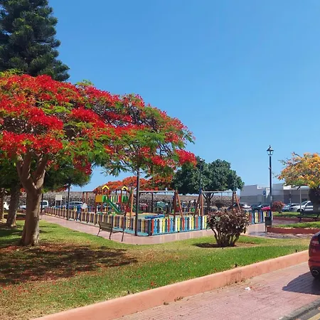 公寓 Atico Dio Vista Duplex Con Terraza Soleada Y Vistas Al Mar
