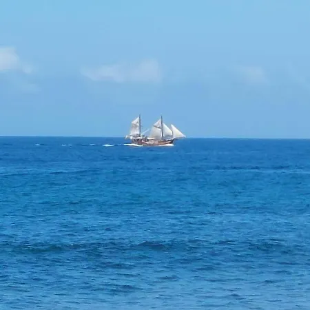 Atico Dio Vista Tipo Duplex Con Terraza Soleada *